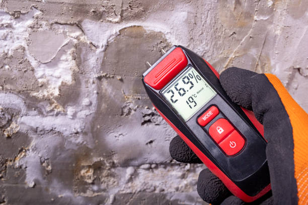 Professional Mold Removal in Minnehaha, WA